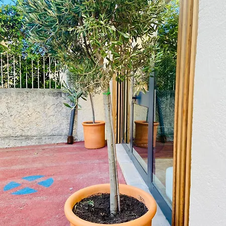 Appartement Sous Un Olivier Cassis